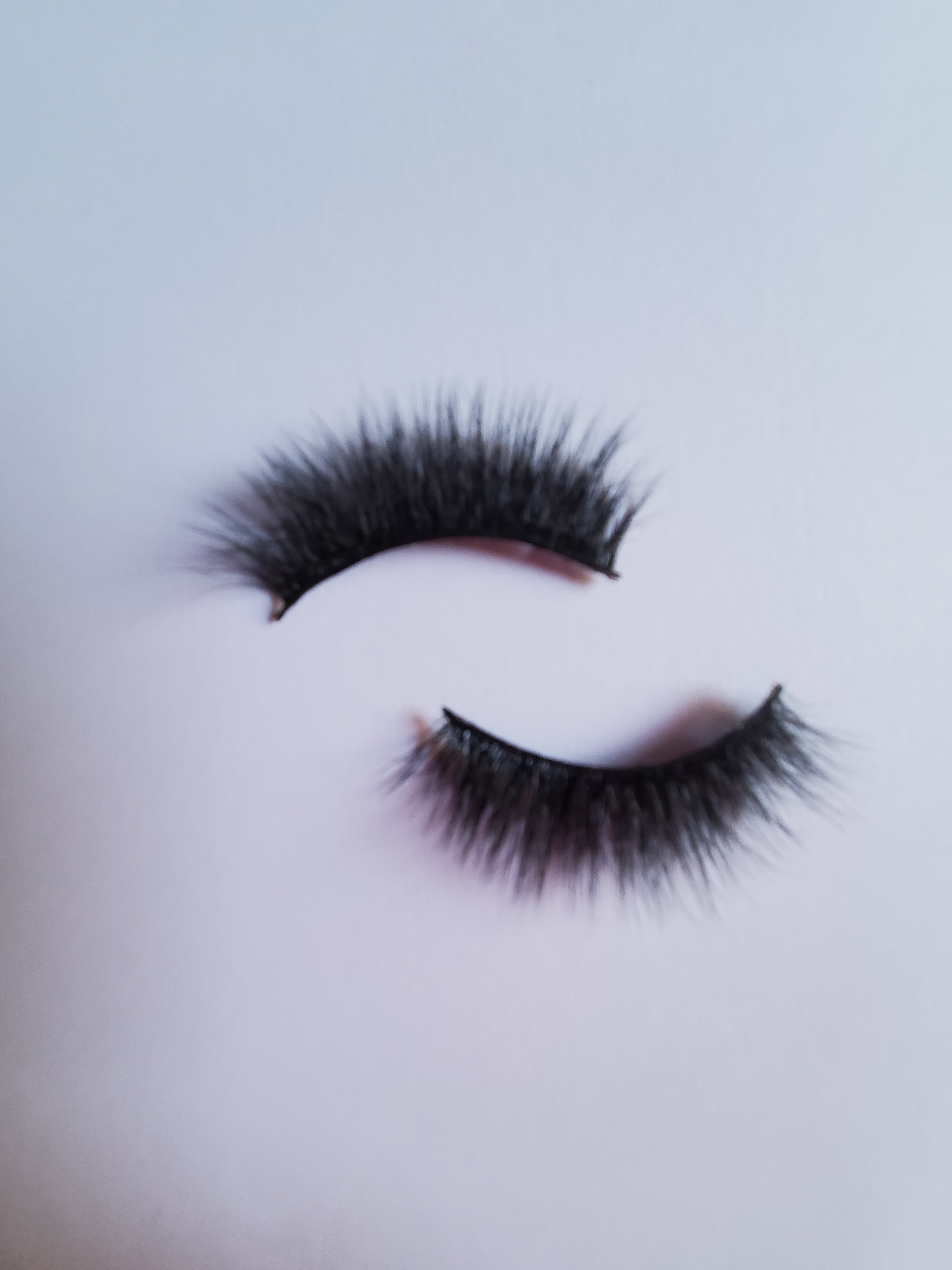 Makeup Land Caribbean Lash Collection "Bermuda 🇧🇲" image 3