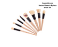 CoastalScents Natural Beauty 8 piece brush set image 0