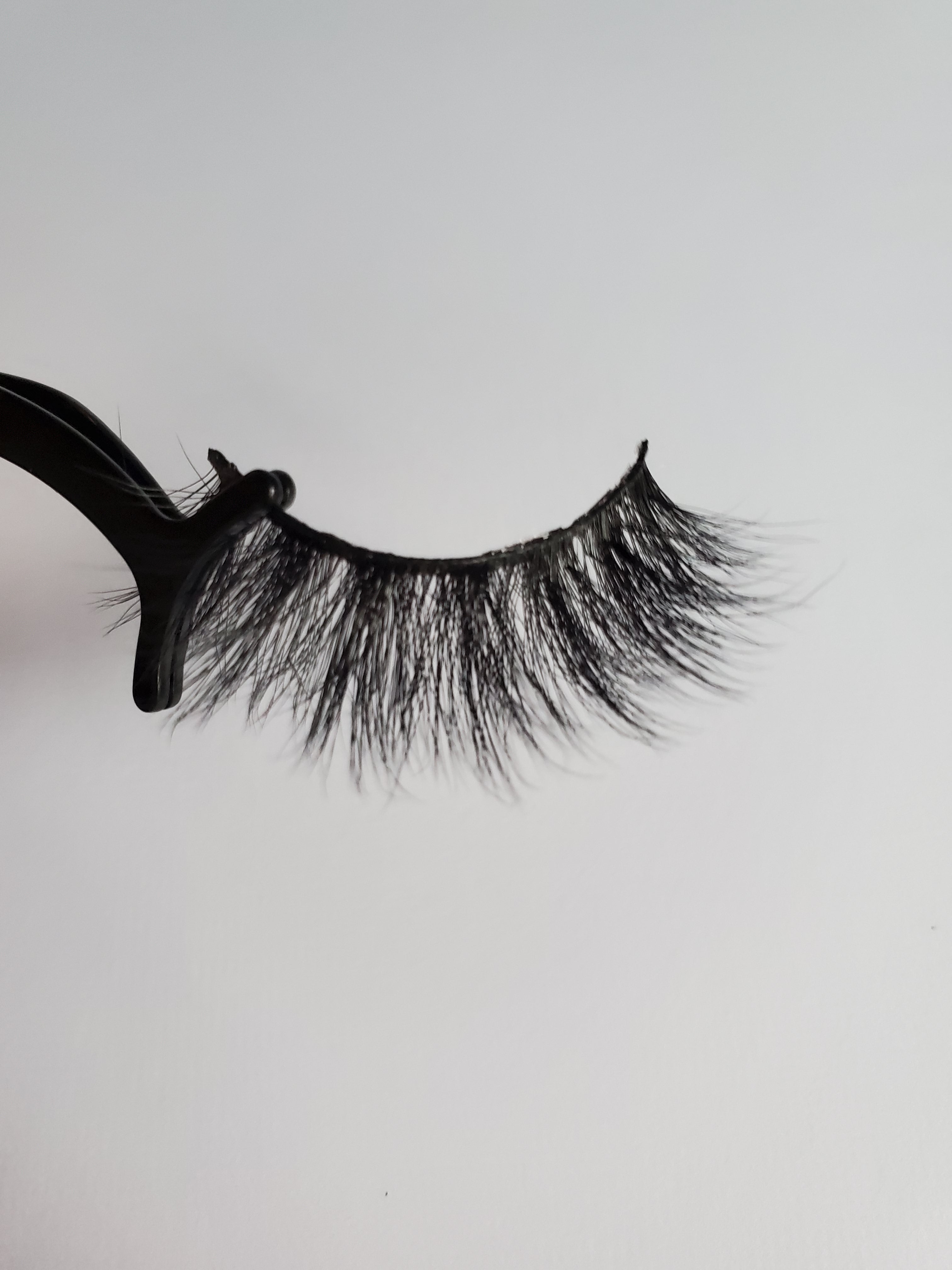 Makeup Land Caribbean Lash Collection "Cayman 🇰🇾 " image 2